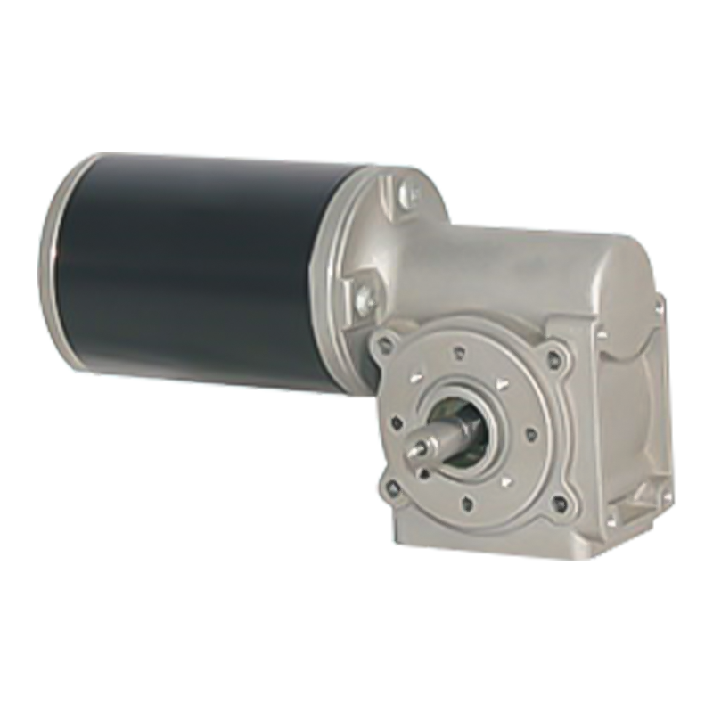 63JW/63ZY105 Permanent Magnet Børstet snekkegirmotor
