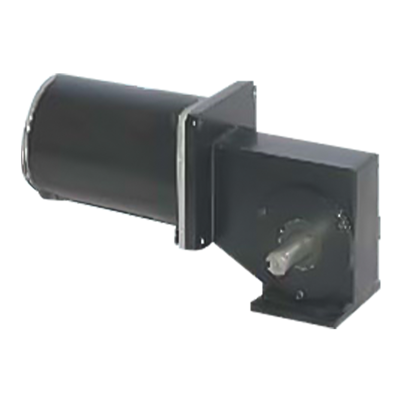 90JW/83ZY125 2000-3000 RPM Permanent Magnet Børstet orm girmotor