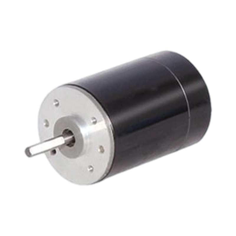 38ZY63 38mm 24V/48V børstet DC-motor med permanent magnet