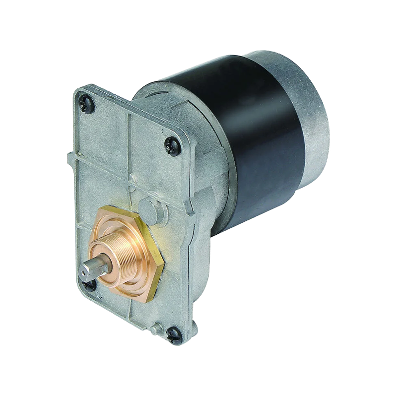 63 mm vanntett, korrosjonsbestandig DC-girmotor for bassengrengjøringsroboter