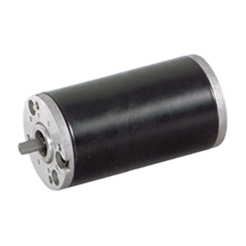 63ZY125 63mm Høyt beskyttelsesnivå Permanent Magnet Børstet DC-motor